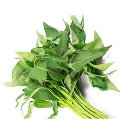 Jual Benih Kangkung Daun Lebar Jual Benih Kangkung Daun Lebar Sayur