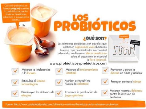 Cu L Es La Diferencia Entre Probioticos Y Prebioticos Visitanos En