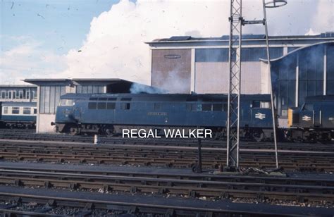 Original 35mm Slide British Railway Class 52 D1048 Western Lady At Laira 1977 Ebay