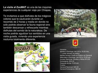 Reportaje Tuxtla Gtz PPT