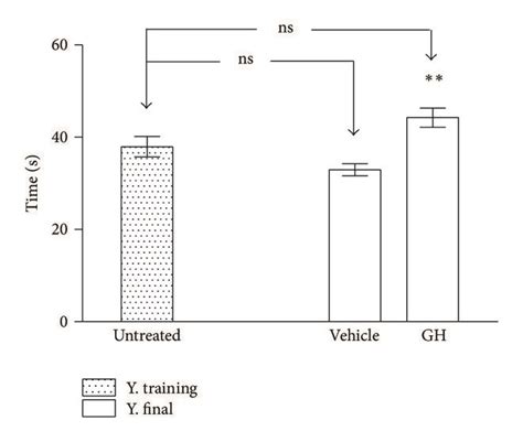 Time Until Fall In The Rotarod Test Before And After Gh Treatment In