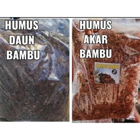 Jual Humus Bambu Media Tanam Daun Bambu Kompos Organik Shopee Indonesia