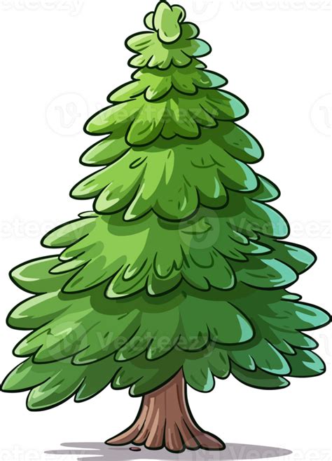 Spruce Tree Beautiful Christmas Tree Christmas Winter Nature In Details Drawing 24796482 Png