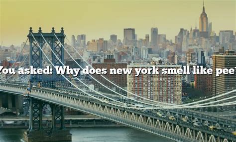 You Asked Why Does New York Smell Like Pee [the Right Answer] 2022