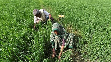 Maharashtra Farmers Told Not To Rush For Early Kharif Sowing Due To