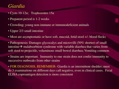 Ppt Giardia And Other Protozoa Powerpoint Presentation Free Download Id162912