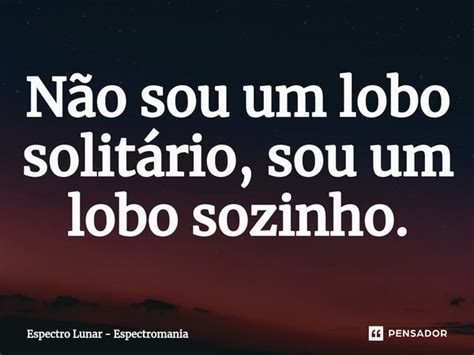 ⁠não Sou Um Lobo Solitário Sou Um Espectro Lunar Pensador