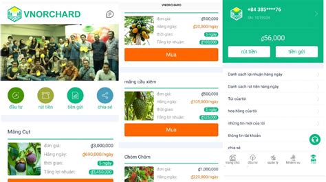 Vnorchard App M I U T Ki M Ti N Online R T V Ng N H Ng Th Nh