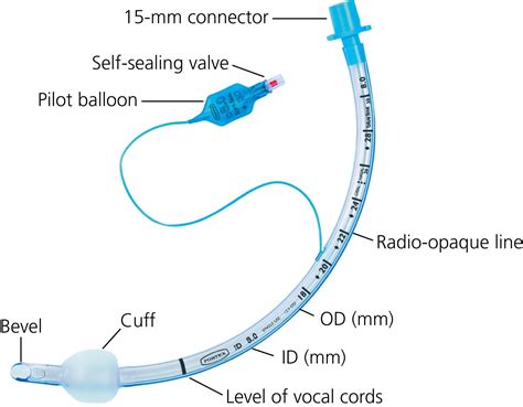 Tracheal Tubes Tracheostomy Tubes And Airways Clinical Tree