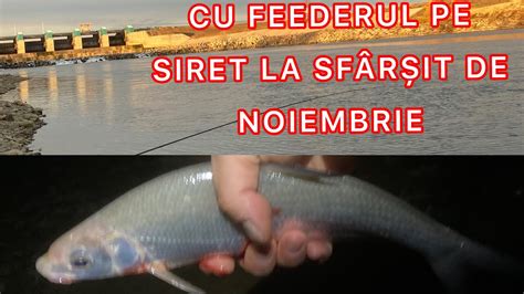 Pescuit La Feeder Pe Siret YouTube