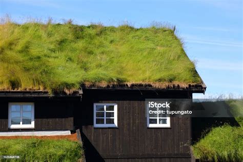 Grass Roof House In Norway Stock Photo Download Image Now Agder