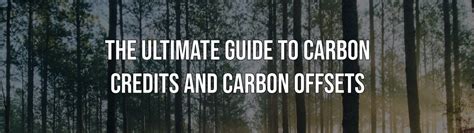 The Ultimate Guide To Understanding Carbon Credits Carbon Credits