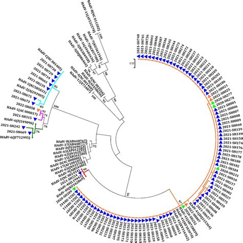 Phylogenetic Analysis On The Partial Nucleotide Sequences Of The