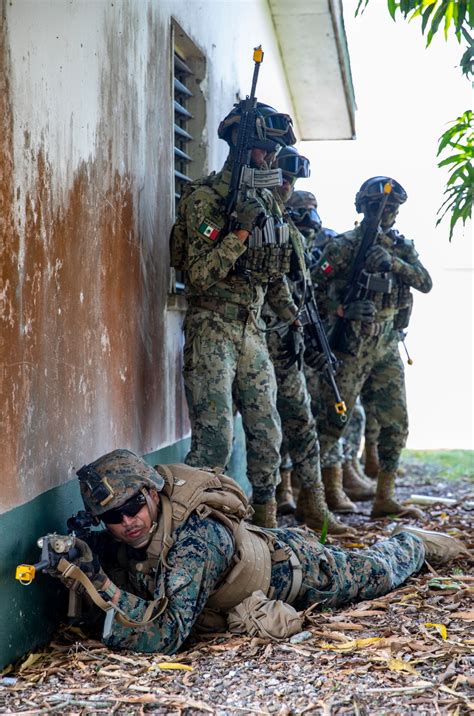 DVIDS Images Forces From The U S And Mexico Conduct Joint