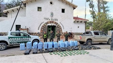 Operativo Coquero en fuga Gendarmería secuestró 688 kilos de hojas