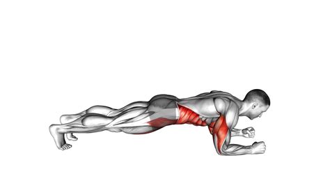 Elbow Up And Down Dynamic Plank Exercise Guide And Tips