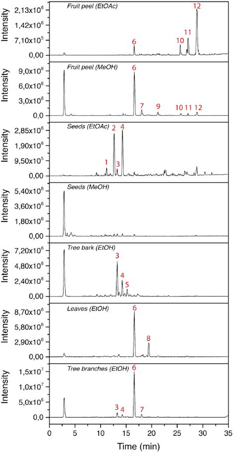 Base Peak Chromatograms Bpcs Obtained From The T Esculenta Crude Download Scientific Diagram