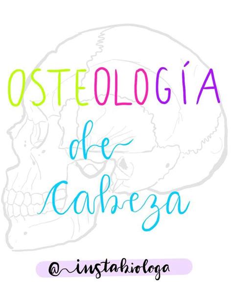 Anatom A Osteologia Del Corazon Ari Valenzuela Udocz