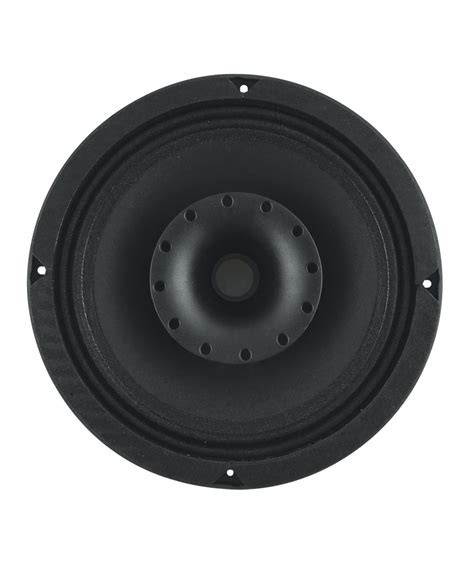 Sica Inch W Coaxial Loudspeaker Ohm Jukebox Revival