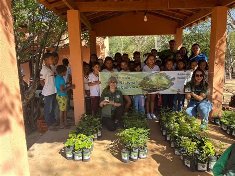 Parque Nacional Da Serra Da Capivara Comemora Anos Distribui O