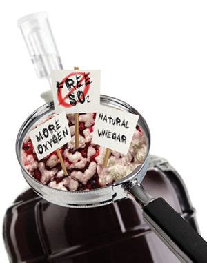 microbial stability winemakermagcom