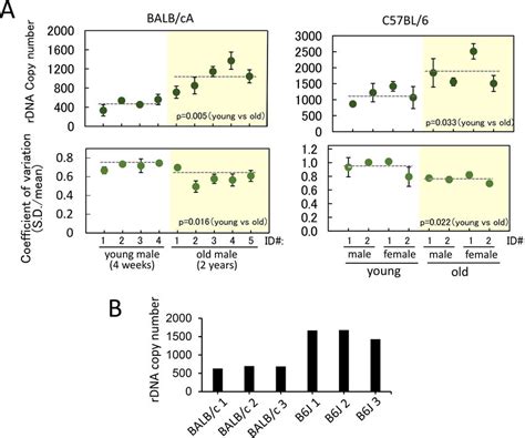 RDNA Copy Number And Coefficient Of Variation In Individual Cells A