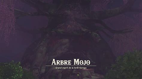 Comment Sauver Et Libérer Larbre Mojo Dans Zelda Tears Of The Kingdom