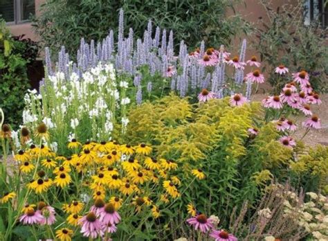 7 Tanaman Hias Tahan Panas - Urban Garden