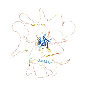 gab gene genecards gab protein gab antibody