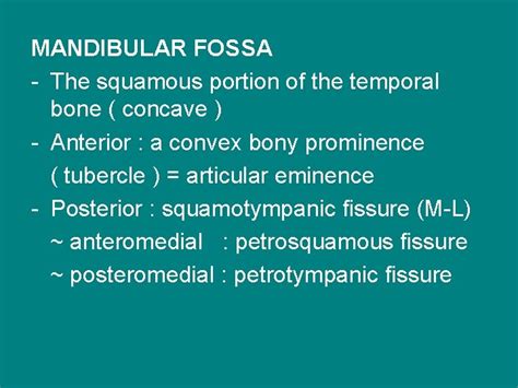 Functional Anatomy Of Temporomandibular Joint Temporomandibular Joint Two