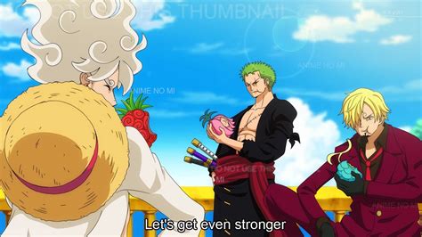 The New Devil Fruits Of Zoro Sanji And The Other Straw Hat Pirates