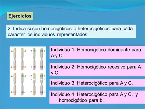 Genética Y Herencia Ppt Descargar