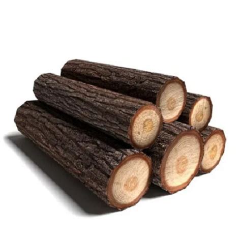 Mm Thick Round Pine Wood Logs For Construction Use At Inr