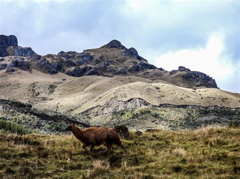 Concurso Emprendedores Por Naturaleza Plataforma Bio Emprender