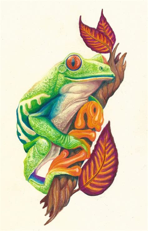 Realistic Frog Drawing | Free download on ClipArtMag