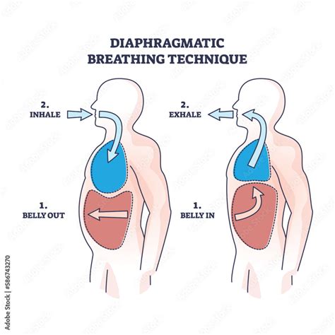 Diaphragmatic Breathing Technique With Inhale And Exhale Outline