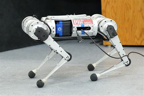 How The Mit Mini Cheetah Robot Learns To Run Entirely By Trial And Error