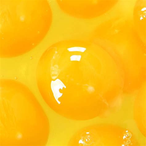 Liquid Egg Products Across All Grades Buckets Bags In Boxes