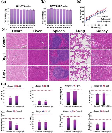 Toxicity Assays Of RENPs Lips A B MTT Analyses Of NIH 3T3 And RAW