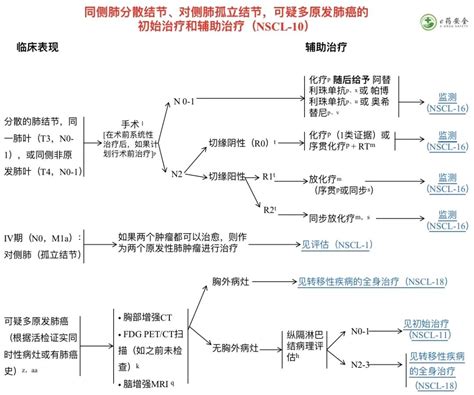 Nccn丨非小细胞肺癌临床实践指南2023 2版①（中文） Medsci Cn