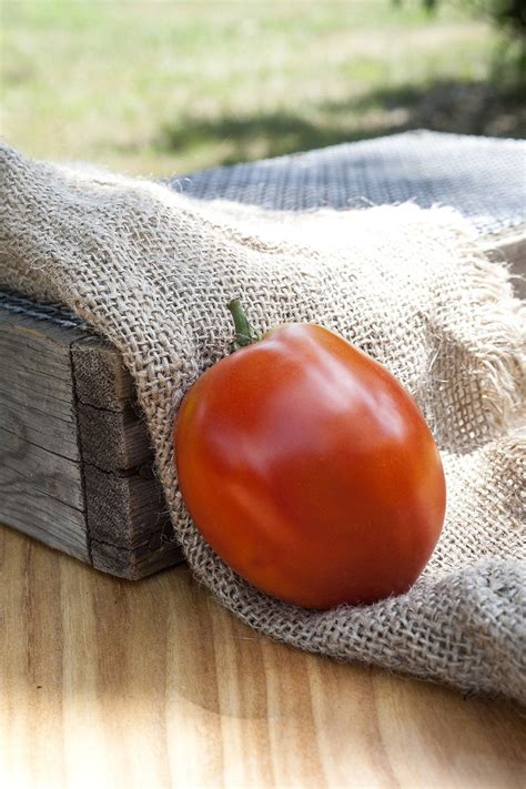 Amish Paste Sauce Heirloom Tomato Premium Seed Packet · Sherwoods