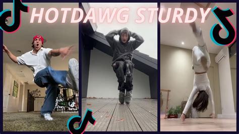 Hotdawg Sturdy New Tiktok Dance Youtube