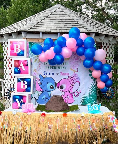 Gender Reveal Inspo Gender Reveal Party Theme Baby Gender Reveal