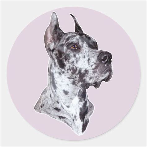 Great Dane Merle Cropped Classic Round Sticker Zazzle