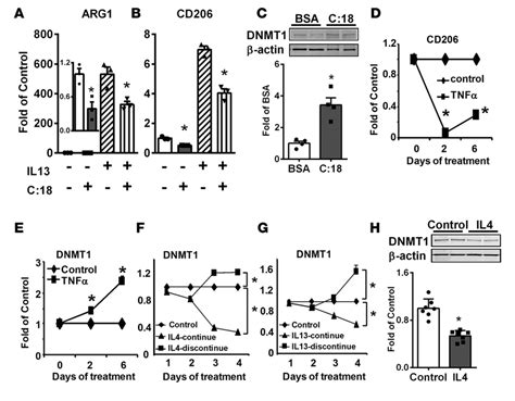 Dna Methyltransferase 1 Dnmt1 Expression Is Increased By Stearate And