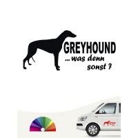 Greyhound Aufkleber In Eigener Farbe Gr E By Anfalas