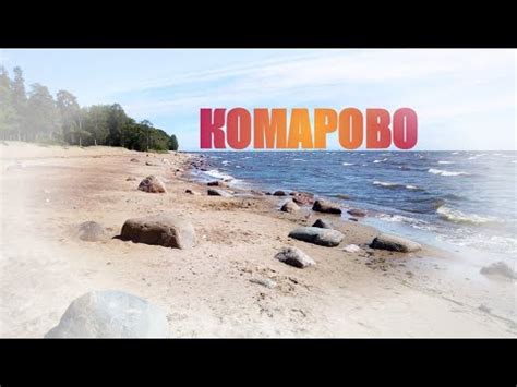 Дмитрий Габрошук - Комарово (cover Игорь Скляр) - YouTube