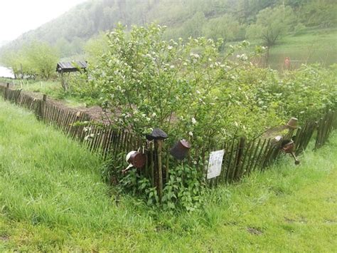 Den Garten An Der Elbe Haben Biologischer Anbau Und Vielf Flickr