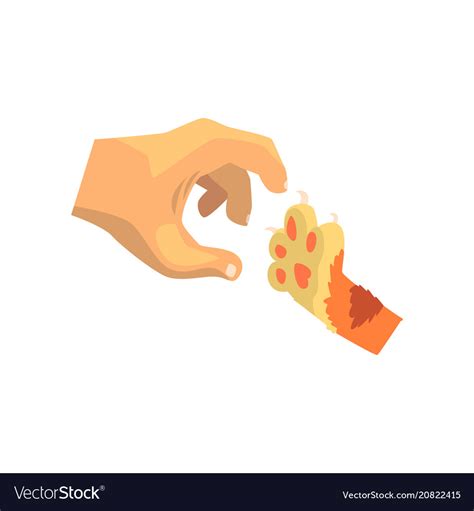 Human Hand And Cat Paw Friends Forever Training Vector Image