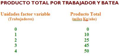 D economía Blog La función de producción producto total medio y marginal